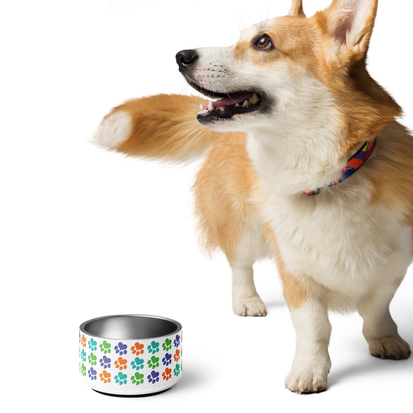 Heart Paw Pet Food Bowl
