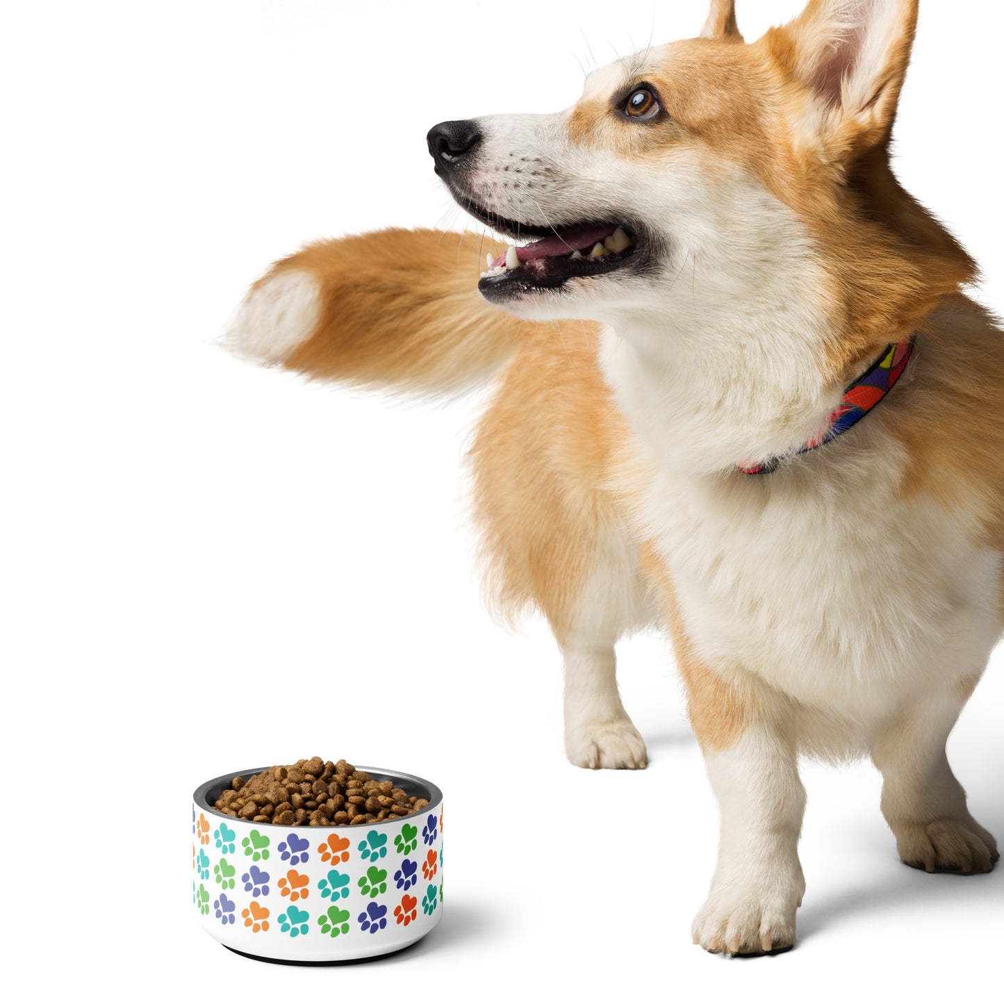 Heart Paw Pet Food Bowl