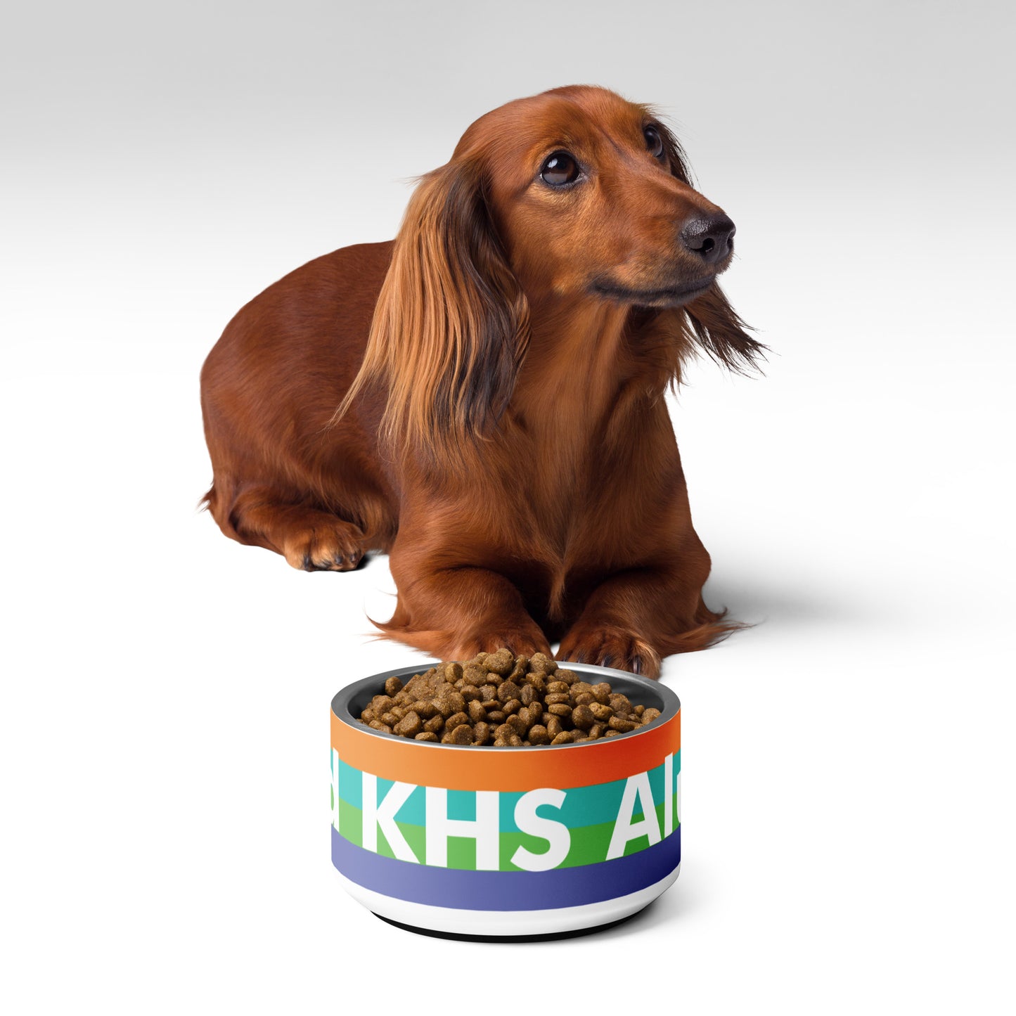 Proud KHS Alum Pet bowl